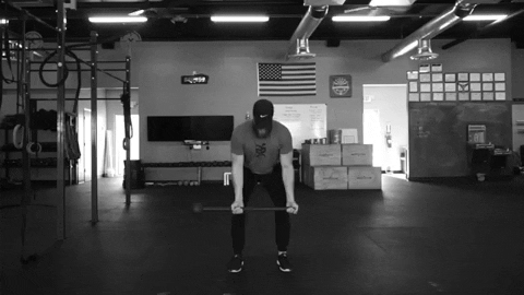 setforset giphygifmaker GIF