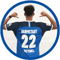 2 Bundesliga Football Sticker by SV Darmstadt 1898 e.V.