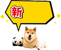 Shiba Sticker by marutaro