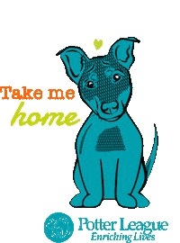 Dog Adopt Me Sticker by Potter League