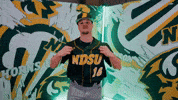 Baseball Bison GIF by NDSU Athletics