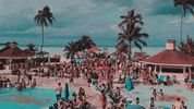 grad_city  GIF