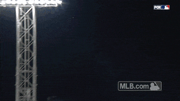 GIF by MLB
