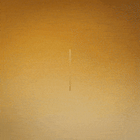 Going Live Forever GIF by WeQuorum