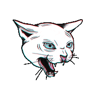 Space Cat Love Sticker by FM4 FREQUENCY