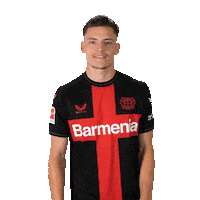 Whats Up Hello Sticker by Bayer 04 Leverkusen