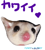 Yukimi Sticker