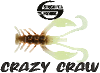 Angeln Zander Sticker by Stucki Fishing