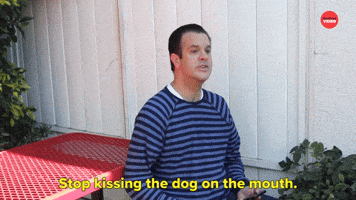 Stop Kissing The Dog 