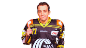 Dance Del Sticker by Krefeld Pinguine