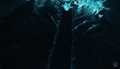 Id Software Magic GIF by Xbox