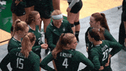 Tgoe Iwutitans GIF by iwusports