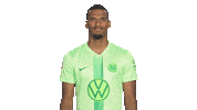Germany Deal With It Sticker by VfL Wolfsburg