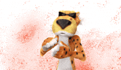Clap It Up Chester Cheetah GIF by Cheetos