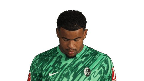 Look Up Sc Freiburg Sticker by Bundesliga