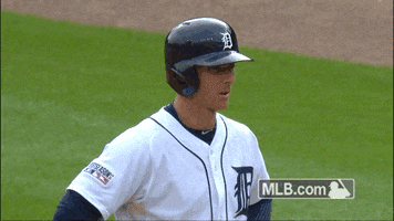 kc GIF by MLB