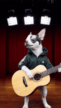 Pets Puppies GIF