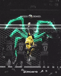 Fifa World Cup Football GIF