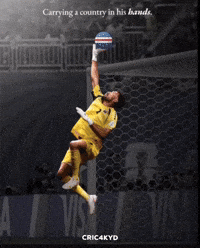 Fifa World Cup Football GIF