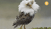Fashion Dress Up GIF by CuriosityStream