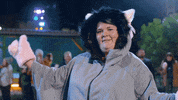 Game Show Cat GIF by ABC Network