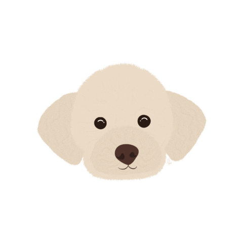Dog Poodle Sticker