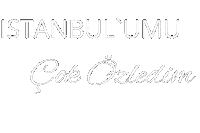 Istanbul Sticker