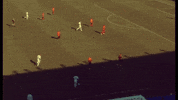 Pellegrini GIF by nss sports