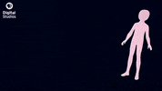 stop motion animation GIF by PBS