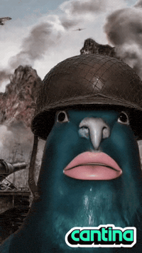 Pigeon Wwii GIF by Cantina