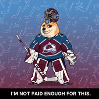 Unimpressed Ice Hockey GIF by Doge Pound