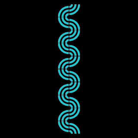 Biggertogether GIF by Big Brothers Big Sisters of Canada