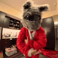 Wiener Dog Bunny GIF