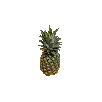 Tea Pineapple Sticker by MINNA