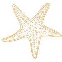 Karmameju Graphic Sticker by Karmameju Skincare