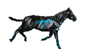 Horse Racing Sticker by ZEDRUN