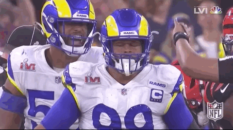 Super Bowl Football GIF by NFL