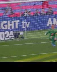 Bellingha Edite GIF