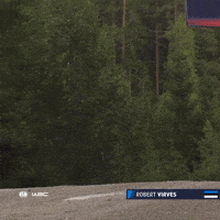 No Problem Bonnet GIF by FIA World Rally Championship