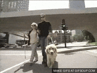 blind GIF
