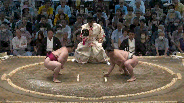 TZ85 giphyupload sumo 2023 nagoya basho hokutofuji GIF