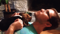 Insanely Adorable Beagle Puppy Learns How to Howl