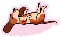 Dog Sticker Sticker by Studio DOT