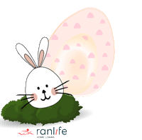 Bunny Easter Sticker by Ranlife