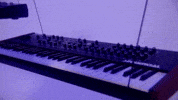 Piano Tonight GIF by Tennis