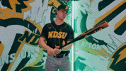 Baseball Bison GIF by NDSU Athletics