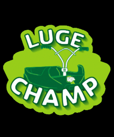 Race Sg GIF by Skyline Luge Singapore