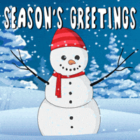 Seasons Greetings Love GIF by Pudgy Penguins