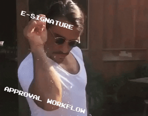 timmyludwigshafen giphygifmaker giphyattribution workflow documentation GIF