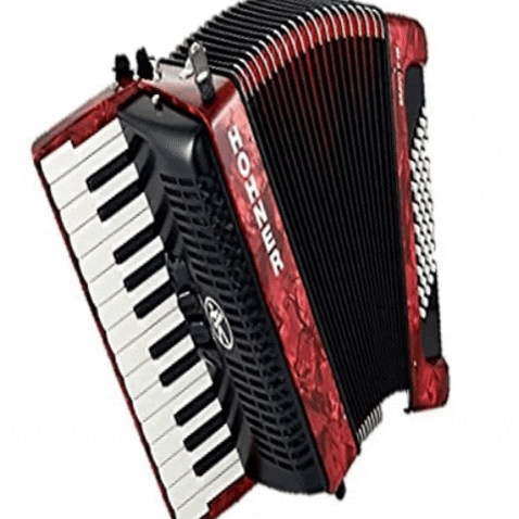 deivycespedes giphygifmaker acordeon GIF